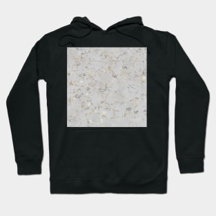 Gray marble stone with gold veins Hoodie